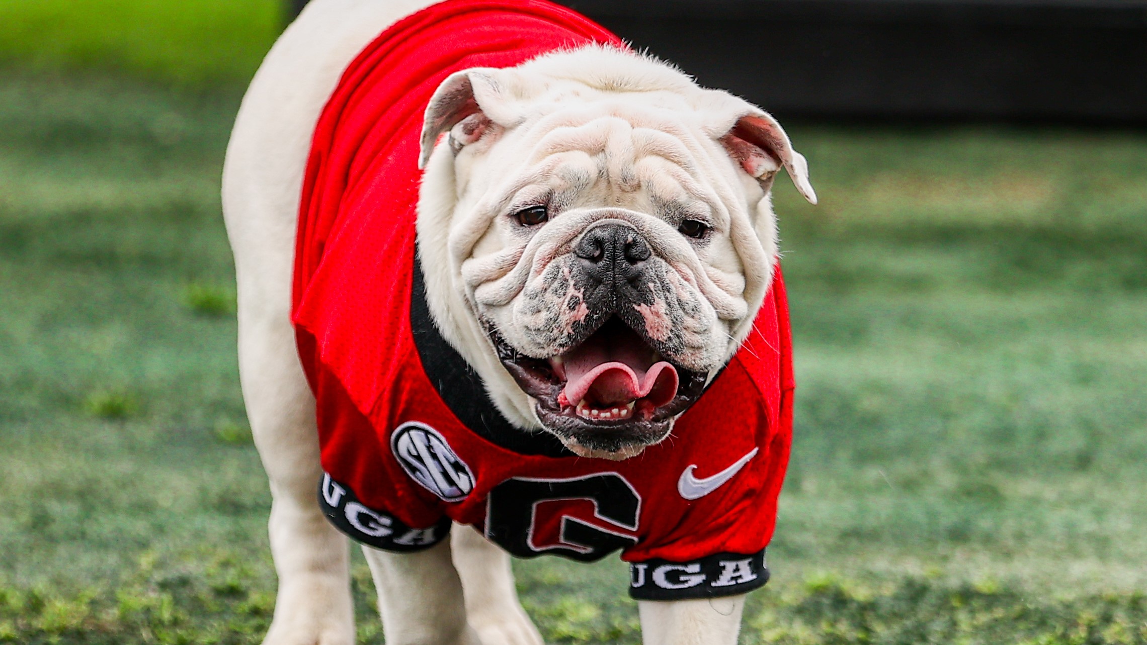 REPORT:Georgia bulldogs had made three biggest transfer target....